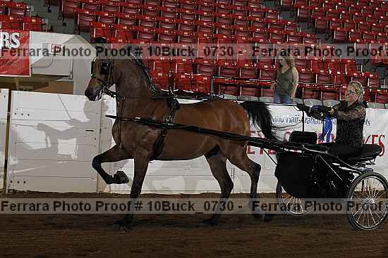 Proof 10buck_0730