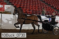 10buck_0730 proof