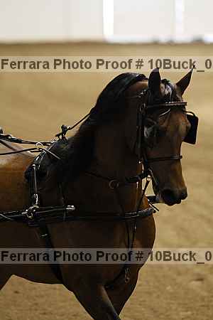 Proof 10buck_0731