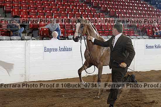 Proof 10buck_0734