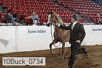 10buck_0734 proof