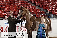 10buck_0736 proof