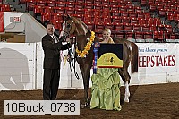 10buck_0738 proof