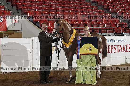 Proof 10buck_0739