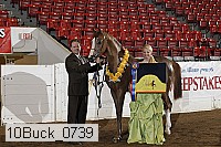 10buck_0739 proof