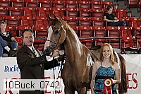 10buck_0742 proof