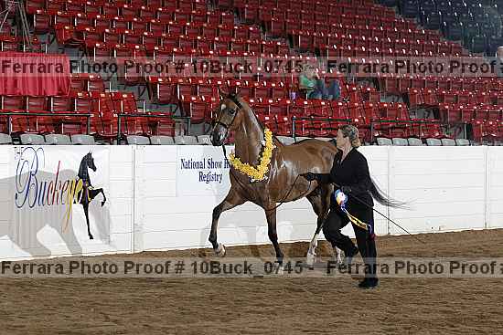 Proof 10buck_0745