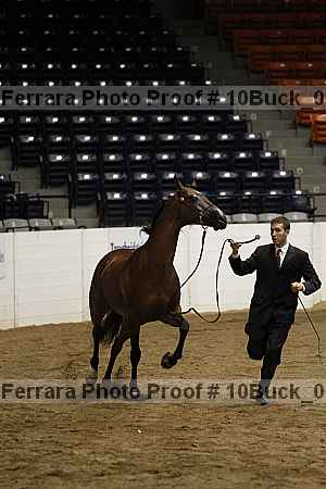 Proof 10buck_0746