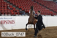 10buck_0747 proof