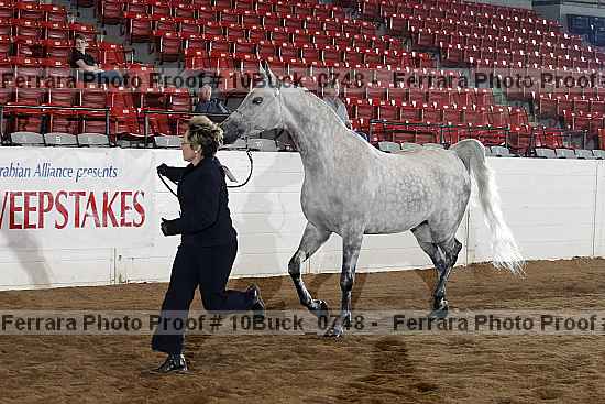 Proof 10buck_0748