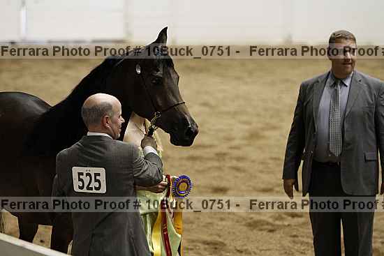 Proof 10buck_0751