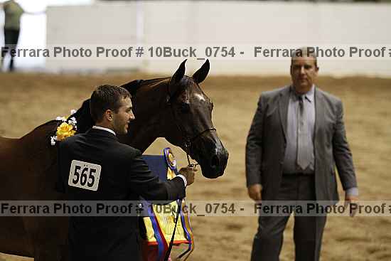 Proof 10buck_0754