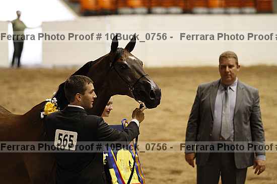 Proof 10buck_0756