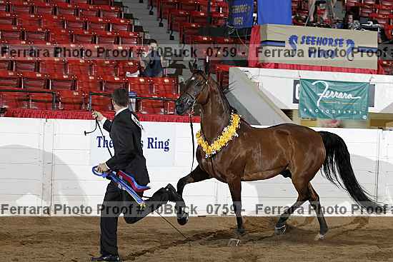Proof 10buck_0759