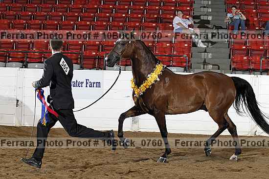 Proof 10buck_0760