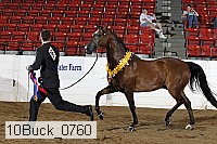 10buck_0760 proof