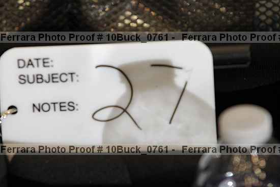 Proof 10buck_0761