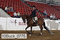 10buck_0775 proof