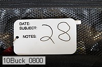 10buck_0800 proof