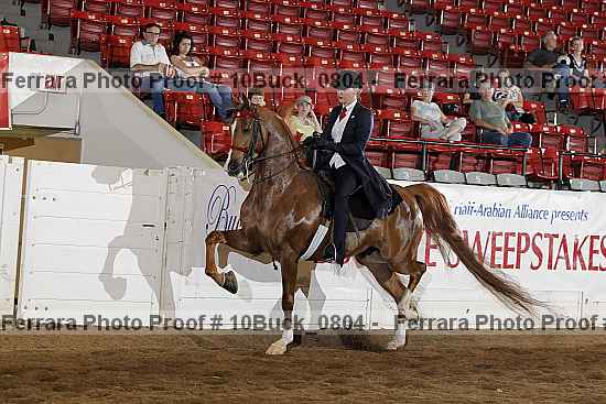 Proof 10buck_0804