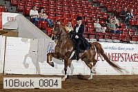 10buck_0804 proof