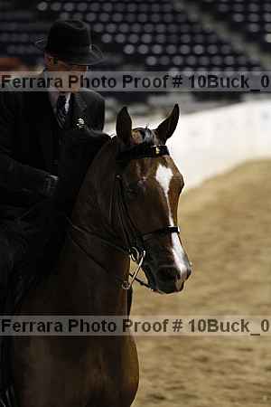 Proof 10buck_0808