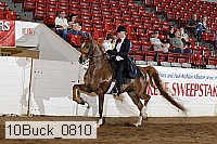 10buck_0810 proof