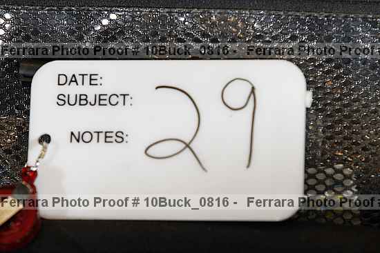 Proof 10buck_0816