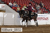 10buck_0832 proof