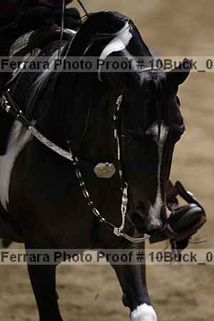 Proof 10buck_0835