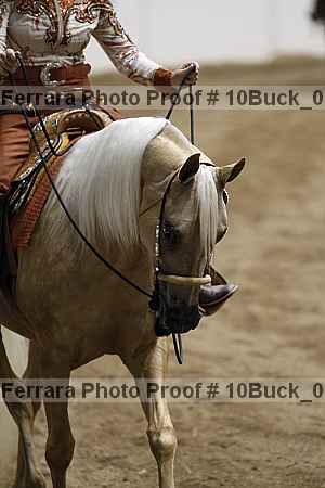 Proof 10buck_0837