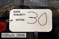 10buck_0846 proof