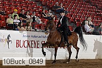 10buck_0849 proof