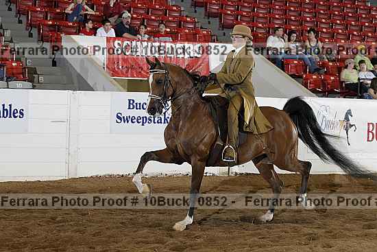 Proof 10buck_0852
