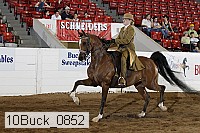 10buck_0852 proof