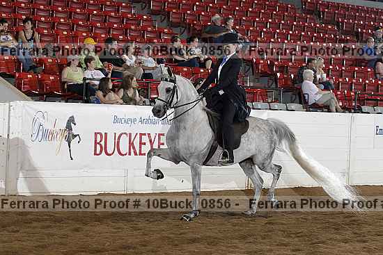 Proof 10buck_0856