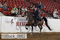 10buck_0882 proof
