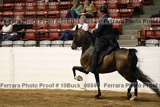 Proof 10buck_0884