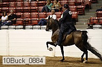 10buck_0884 proof