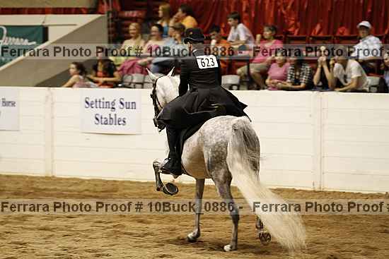 Proof 10buck_0886