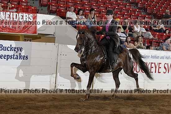 Proof 10buck_0887