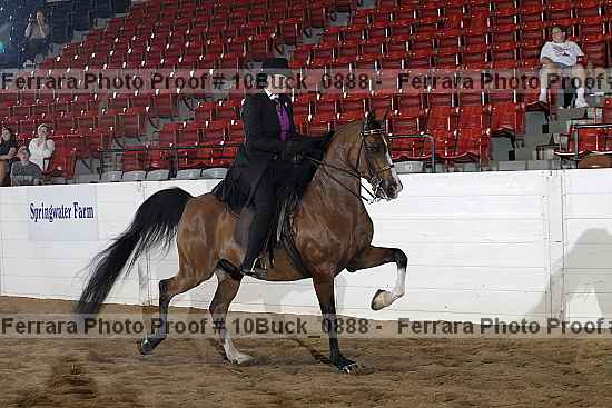 Proof 10buck_0888