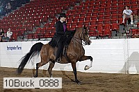 10buck_0888 proof
