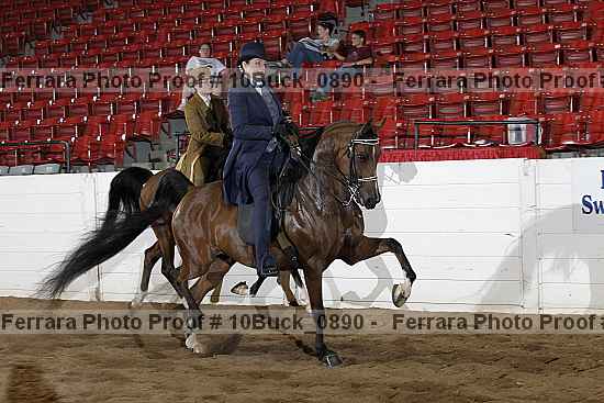 Proof 10buck_0890