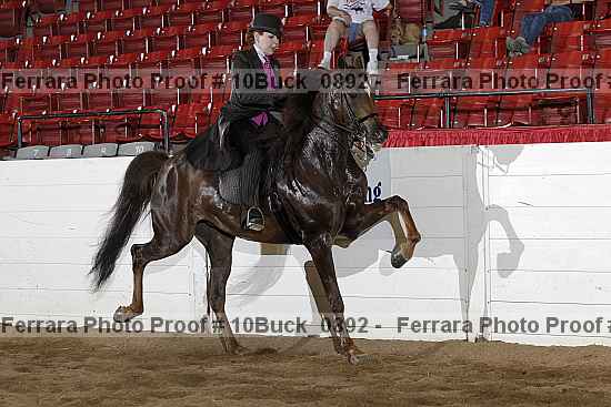 Proof 10buck_0892