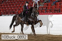 10buck_0892 proof