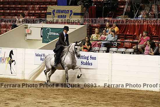 Proof 10buck_0893