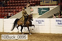 10buck_0895 proof