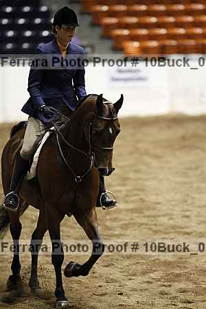 Proof 10buck_0913