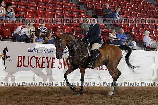 Proof 10buck_0916